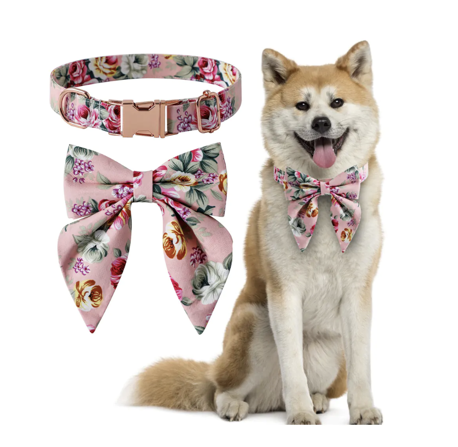 Before: collage of bow-tie dog collar