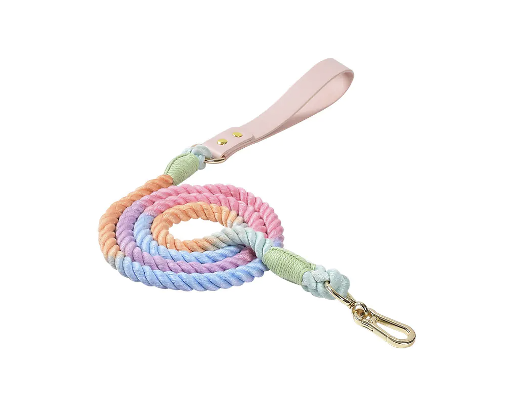 Before: leash on white background